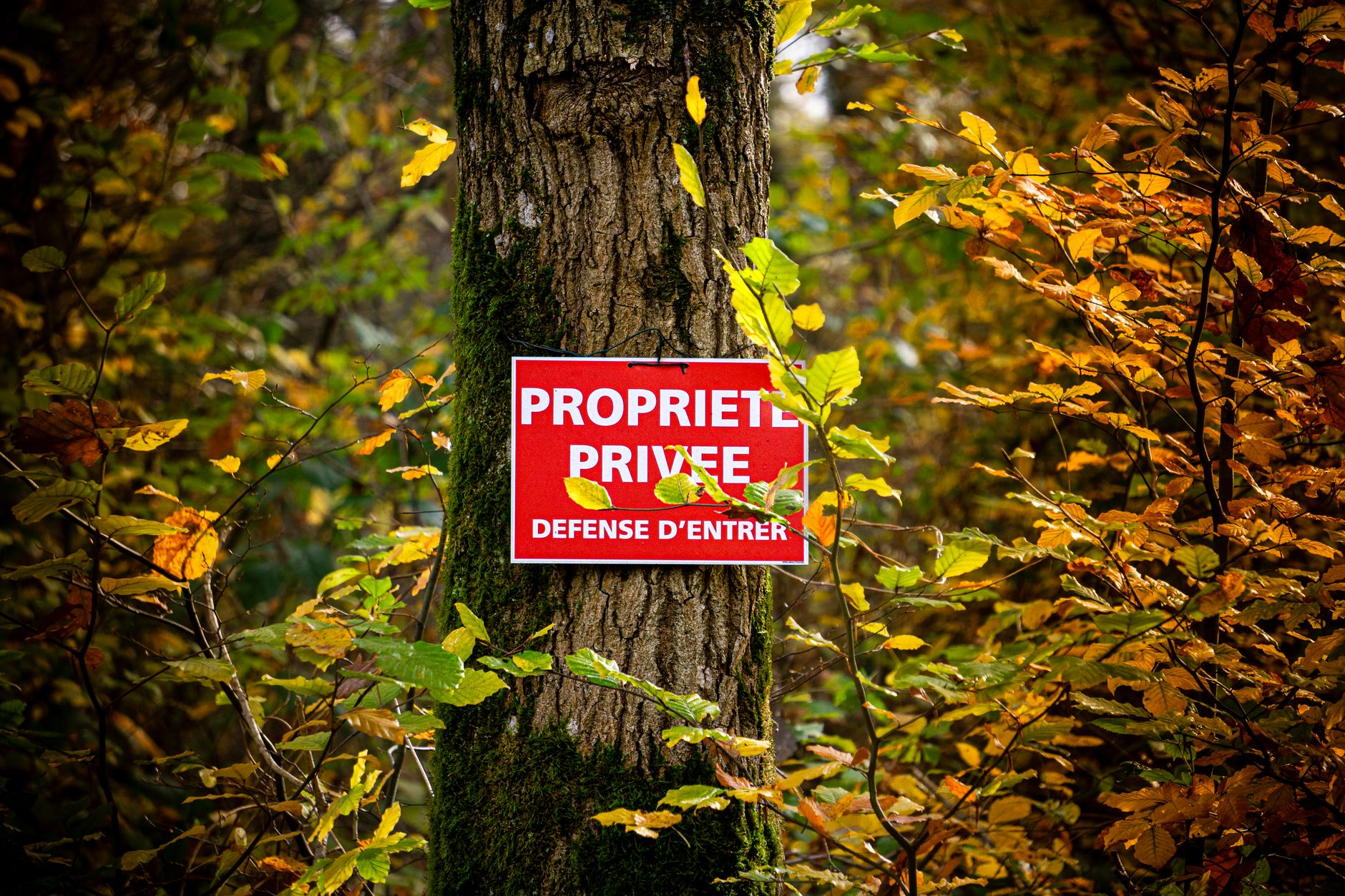 Détective privé à Issy-les-Moulineaux